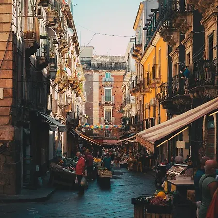 Nerina * Catania